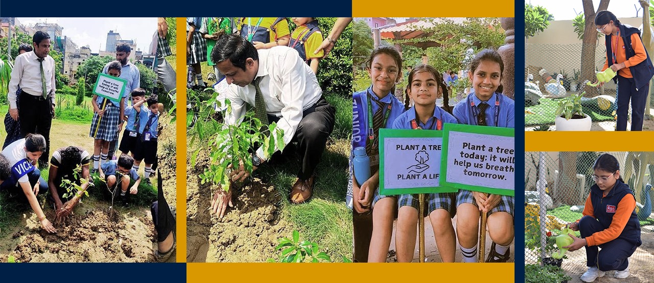 Tree Plantation Drive at Indraprastha Park